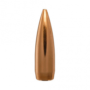 Berger Geschoss 6mm (243 Diameter) 65 gr Match BT Target