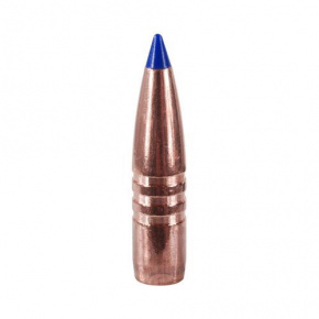 Barnes Geschoss 30 cal (308 Diameter) 165 gr TTSX Boat Tail Barnes Geschoss 30 cal (308 Diameter) 165 gr TTSX Boat Tail