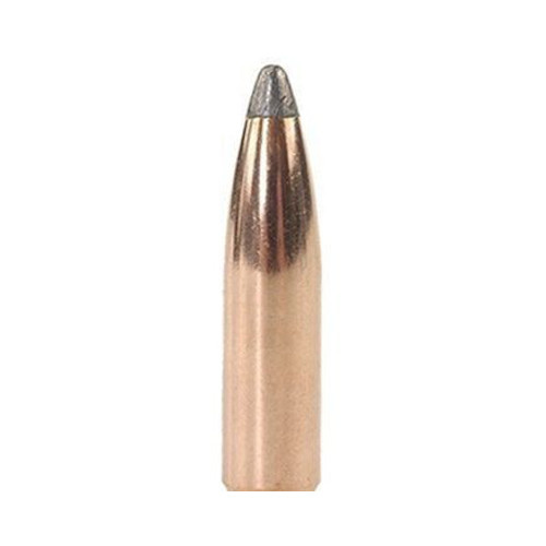 Nosler Geschoss 7mm (284 Diameter) 160 gr Partition Gold