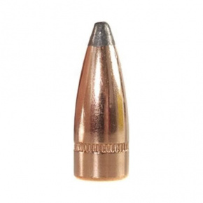 Speer Geschoss 7.62mm (310 Diameter) 123 gr SP Canelure Speer Geschoss 7.62mm (310 Diameter) 123 gr SP Canelure