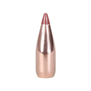 Hornady Geschoss 22 cal (224 Diameter) 35 gr NTX® Hornady Geschoss 22 cal (224 Diameter) 35 gr NTX®