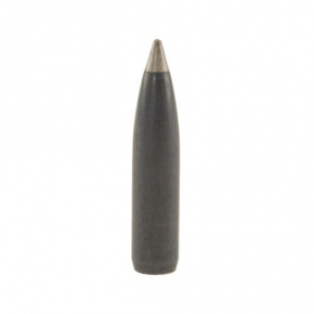 Nosler Geschoss 270 cal (277 Diameter) 150 gr Ballistic Silvertip Nosler Geschoss 270 cal (277 Diameter) 150 gr Ballistic Silvertip