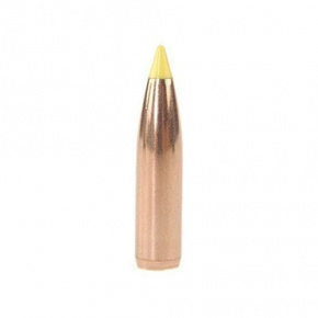 Nosler Geschoss 270 cal (277 Diameter) 140 gr Ballistic Tip Hunting Nosler Geschoss 270 cal (277 Diameter) 140 gr Ballistic Tip Hunting