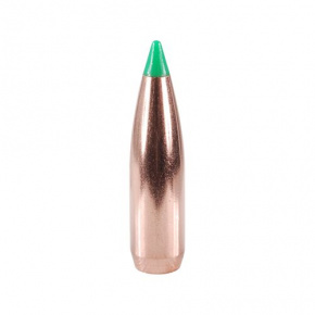 Nosler Geschoss 30 cal (308 Diameter) 165 gr Ballistic Tip Hunting Nosler Geschoss 30 cal (308 Diameter) 165 gr Ballistic Tip Hunting