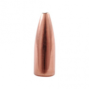 Nosler Geschoss 17 cal (172 Diameter) 20 gr Varmageddon HP