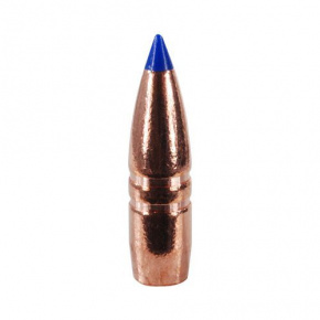 Barnes Geschoss 22 cal (224 Diameter) 55 gr TTSX Boat Tail Barnes Geschoss 22 cal (224 Diameter) 55 gr TTSX Boat Tail