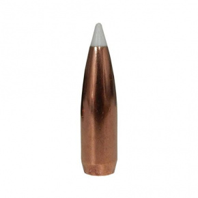 Nosler Geschoss 30 cal (308 Diameter) 150 gr AccuBond Nosler Geschoss 30 cal (308 Diameter) 150 gr AccuBond