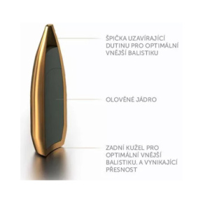 Sellier & Bellot Geschoss 2887 22 cal (224 Diameter) 69 gr HPBT