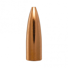 Berger Geschoss 6mm (243 Diameter) 64 gr Match BR Column Target
