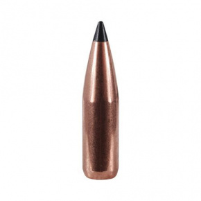 Barnes Geschoss 22 cal (224 Diameter) 53 gr XLC Coated