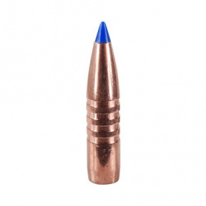 Barnes Geschoss 30 cal (308 Diameter) 180 gr TTSX Boat Tail Barnes Geschoss 30 cal (308 Diameter) 180 gr TTSX Boat Tail