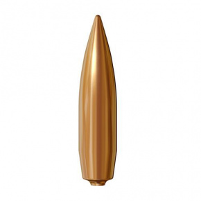 Lapua Geschoss 338 cal (338 Diameter) 250 gr Lock Base