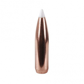 Nosler Geschoss 25 cal (257 Diameter) 110 gr AccuBond Nosler Geschoss 25 cal (257 Diameter) 110 gr AccuBond