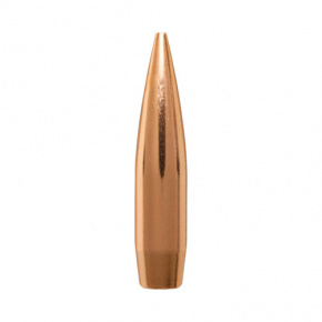 Berger Geschoss 30 cal (308 Diameter) 205 gr Elite Hunter