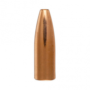 Berger Geschoss 17 cal (172 Diameter) 25 gr Match FB Varmint Berger Geschoss 17 cal (172 Diameter) 25 gr Match FB Varmint