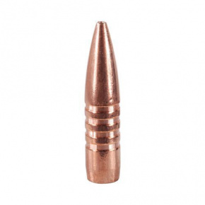 Barnes Geschoss 6mm (243 Diameter) 85 gr XBT Coated Barnes Geschoss 6mm (243 Diameter) 85 gr XBT Coated