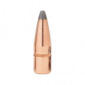 Hornady Geschoss 6mm (243 Diameter) 100 gr InterLock® BTSP