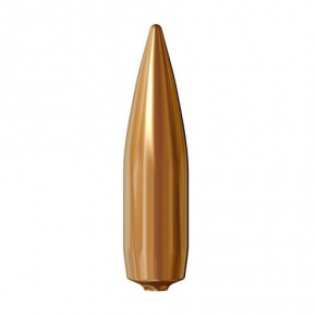 Lapua Geschoss 30 cal (308 Diameter) 170 gr Lock Base