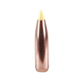 Nosler Geschoss 270 cal (277 Diameter) 130 gr Ballistic Tip Hunting Nosler Geschoss 270 cal (277 Diameter) 130 gr Ballistic Tip Hunting