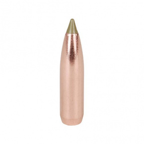 Nosler Geschoss 30 cal (308 Diameter) 168 gr E-Tip Nosler Geschoss 30 cal (308 Diameter) 168 gr E-Tip