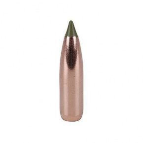Nosler Geschoss 30 cal (308 Diameter) 150 gr E-Tip Nosler Geschoss 30 cal (308 Diameter) 150 gr E-Tip