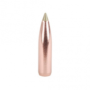Nosler Geschoss 25 cal (257 Diameter) 100 gr E-Tip Nosler Geschoss 25 cal (257 Diameter) 100 gr E-Tip
