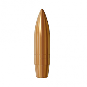 Lapua Geschoss 7.62mm (310 Diameter) 200 gr FMJ BT D166