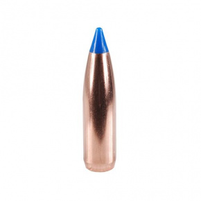 Nosler Geschoss 25 cal (257 Diameter) 100 gr Ballistic Tip Hunting Nosler Geschoss 25 cal (257 Diameter) 100 gr Ballistic Tip Hunting