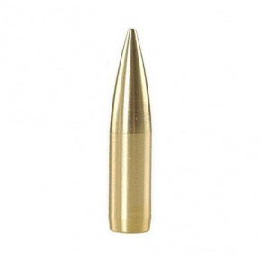 Barnes Geschoss 30 cal (308 Diameter) 165 gr SPITZER SOLID