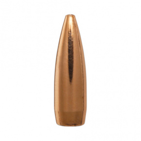 Berger Geschoss 20 cal (204 Diameter) 40 gr Match BT Varmint