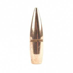 Hornady Geschoss 303 cal (3105 Diameter) 174 gr FMJ BT