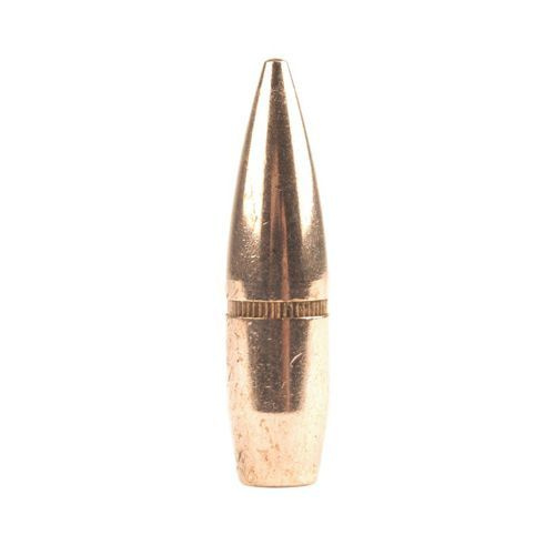 Hornady Geschoss 303 cal (3105 Diameter) 174 gr FMJ BT