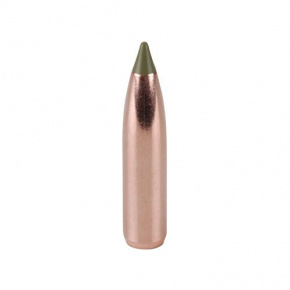 Nosler Geschoss 270 cal (277 Diameter) 130 gr E-Tip Nosler Geschoss 270 cal (277 Diameter) 130 gr E-Tip