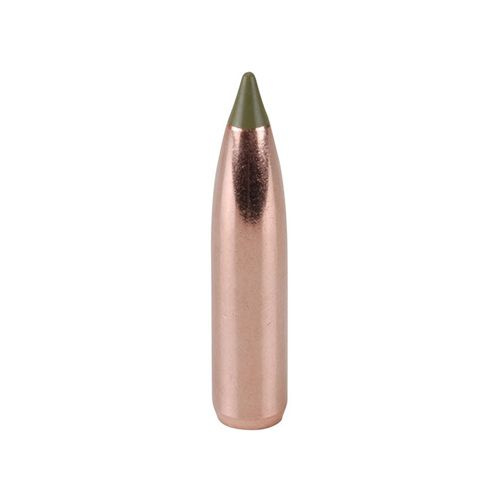Nosler Geschoss 270 cal (277 Diameter) 130 gr E-Tip Nosler Geschoss 270 cal (277 Diameter) 130 gr E-Tip