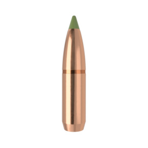 Nosler Geschoss 30 cal (308 Diameter) 180 gr E-Tip Nosler Geschoss 30 cal (308 Diameter) 180 gr E-Tip