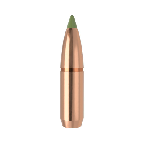 Nosler Geschoss 30 cal (308 Diameter) 180 gr E-Tip