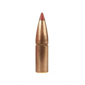 Hornady Geschoss 6mm (243 Diameter) 95 gr SST®