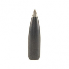 Nosler Geschoss 30 cal (308 Diameter) 150 gr Ballistic Silvertip Nosler Geschoss 30 cal (308 Diameter) 150 gr Ballistic Silvertip