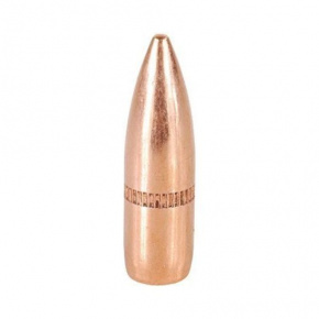 Speer Geschoss 22 cal (224 Diameter) 62 gr FMJ-BT