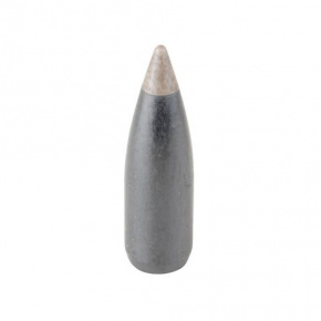 Nosler Geschoss 22 cal (224 Diameter) 50 gr Ballistic Silvertip Nosler Geschoss 22 cal (224 Diameter) 50 gr Ballistic Silvertip
