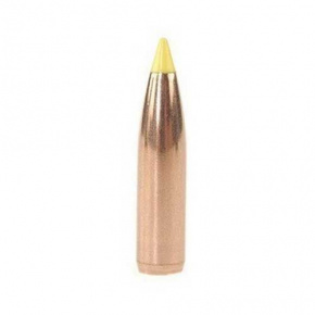 Nosler Geschoss 270 cal (277 Diameter) 130 gr Partition Nosler Geschoss 270 cal (277 Diameter) 130 gr Partition