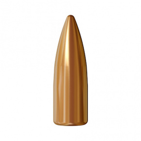 Lapua Geschoss 22 cal (224 Diameter) 55 gr FMJ