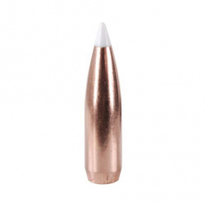 Nosler Geschoss 30 cal (308 Diameter) 165 gr AccuBond Nosler Geschoss 30 cal (308 Diameter) 165 gr AccuBond