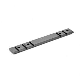 Tikka 1 Piece Base Silver