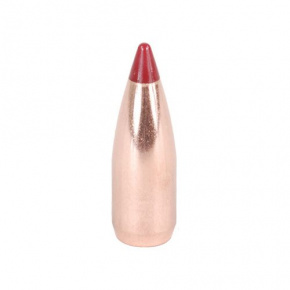 Nosler Geschoss 20 cal (204 Diameter) 32 gr Ballistic Tip Varmint