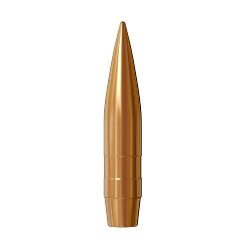 Lapua Geschoss 50 cal (510 Diameter) 750 gr Bullex-N