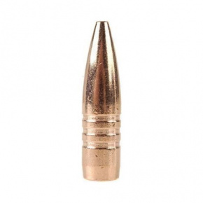 Barnes Geschoss 30 cal (308 Diameter) 200 gr XFB