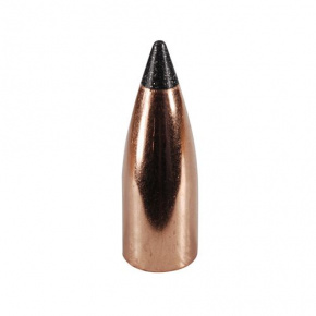 Nosler Geschoss 20 cal (204 Diameter) 32 gr Varmageddon